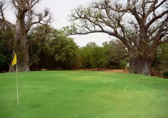 Golf photo 3